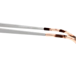 Emporio Armani Emporio 3154 5766 49/20 -Vogue Verkoop original png 8056597024686 00004