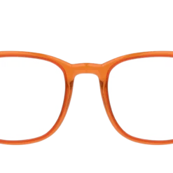 Seen SNOT0003 OO0048/19